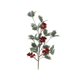 RAMO AGRIFOGLIO H68CM    CON BACCHE ROSSE