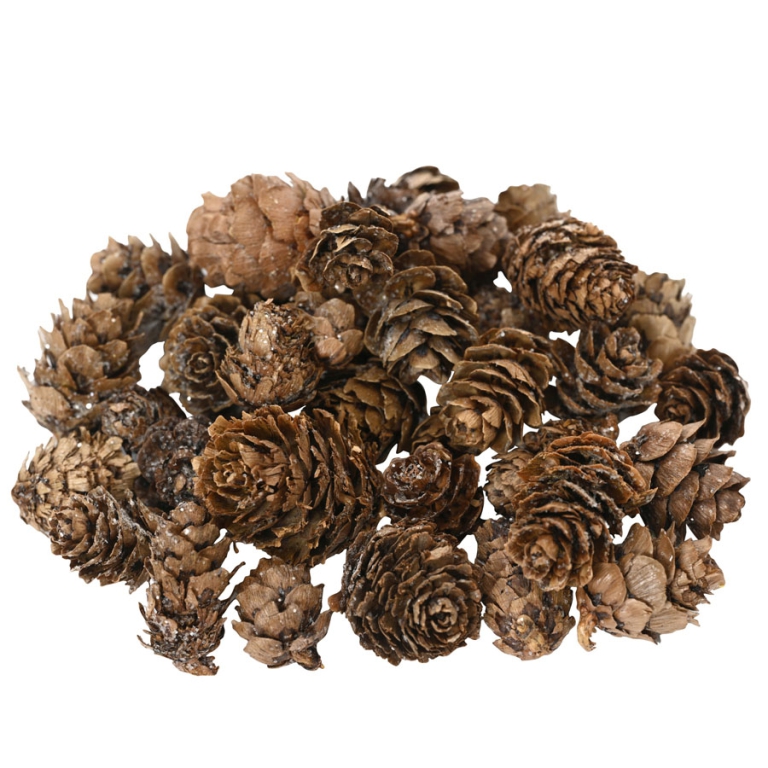 BUSTA PIGNE NATURALI 45GR 2
