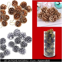 PIGNE NAT APPENDIBILI    4CM 24PZ