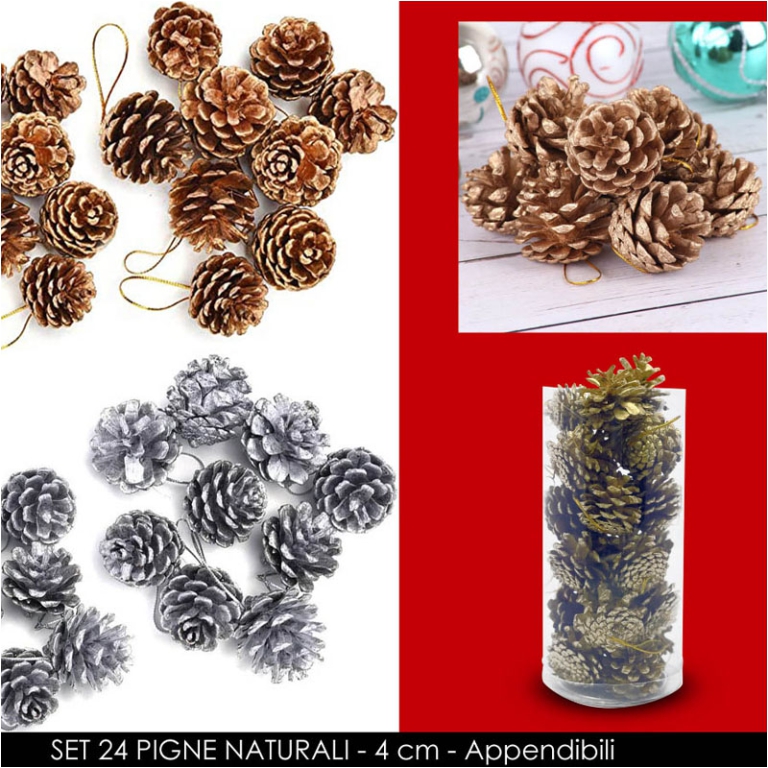 PIGNE NAT APPENDIBILI    4CM 24PZ