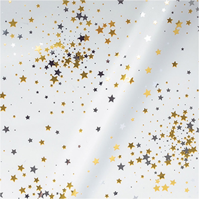 BUSTE CELLO 16X25CM 100PZ LITTLE STAR ASSORTITE 5