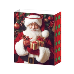 SHOPPER PANETTONE 26X26H36CM NATALE 210GR