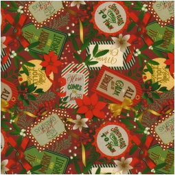CARTA REGALO 70X100CM 10 FOGLI DIS.458J NATALE