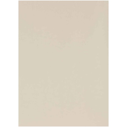 CARTA REGALO 70X100CM 10 FOGLI PERLAGE 479C PANNA