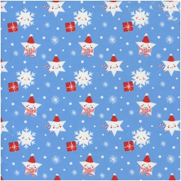 CARTA REGALO 70X100CM 10 FOGLI DIS.527J NATALE