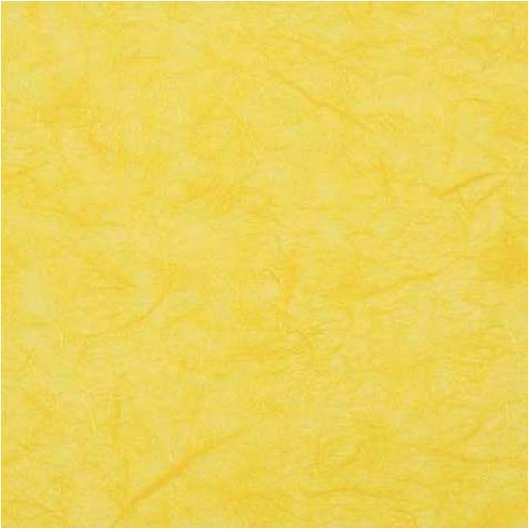 CARTA RISO 70X100CM 25 FOGLI GIALLO COL.55 23GR