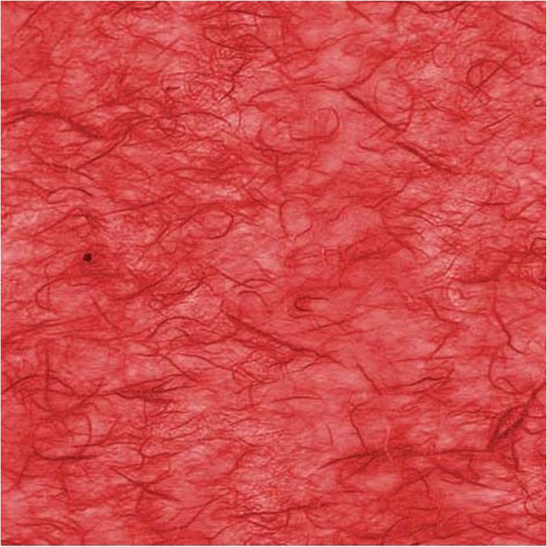 ROTOLO CARTA RISO 100CMX5MT ROSSO 2