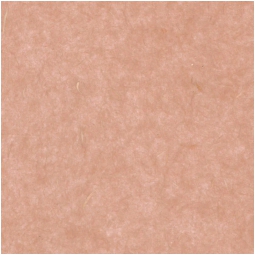 CARTA REGALO RISO 100X5MTSAND