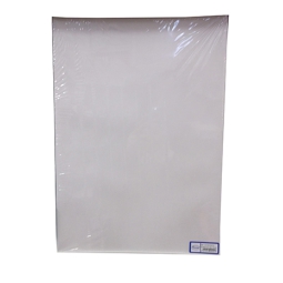 DIPLOMI PERGAMENA A3 10PZ NEUTRA BIANCO 160GR