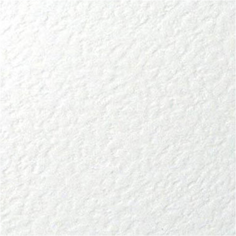 CARTONCINI 17X11,5 LIBRO BIANCO MARTELLATO 250GR 25PZ 2