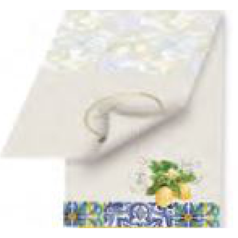 CARTONCINI LIMONI   50FG 4PZ BLOCCO MEMO 8,5X12,5