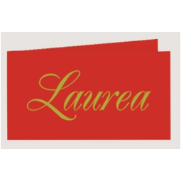 CARTONCINI BOMBONIERA 100PZ SCRITTA LAUREA ORO