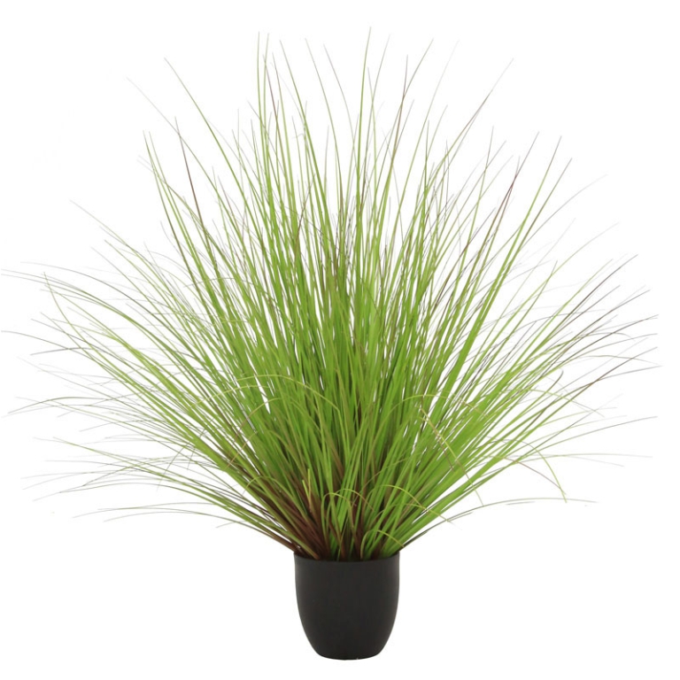 PIANTA VERDE H90CM IN    VASO