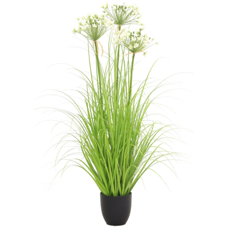 PIANTA PORRO H110CM IN   VASO