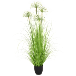 PIANTA PORRO H140CM IN   VASO