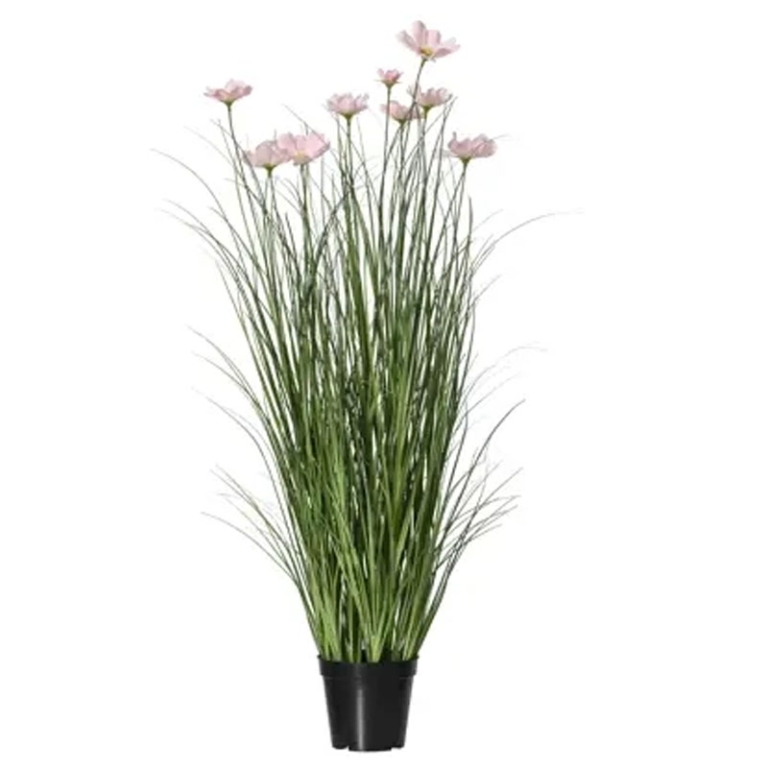 PIANTA MARGHERITA H90CM  ROSA IN VASO