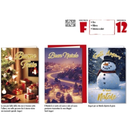 BIGLIETTI XMAS 11,5X17CM 12PZ SOGGETTI ASSORTITI