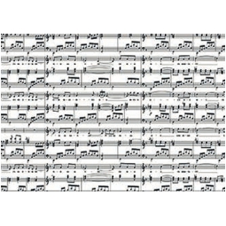 BUSTE CELLO 16X25CM 50PZ MELODIE NERO PANNA