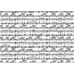 BUSTE CELLO 20X35CM 50PZ MELODIE NERO PANNA