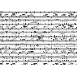 BUSTE CELLO 35X50CM 25PZ MELODIE NERO PANNA